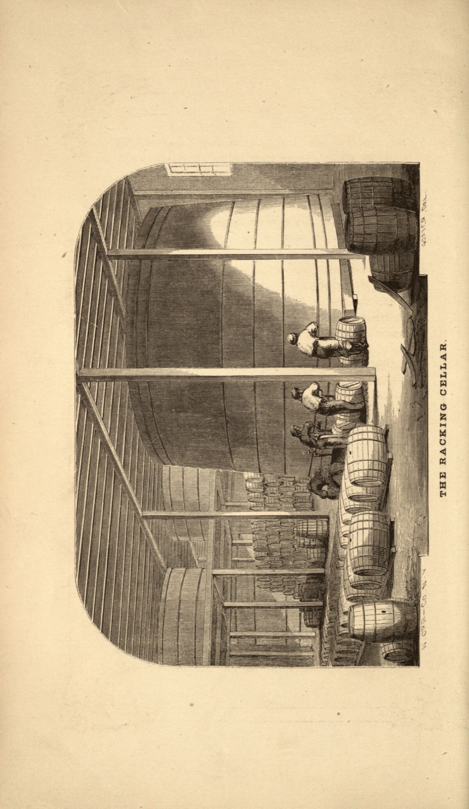 Engraving of a vaulted cellar with workers filling and rolling rows of casks
